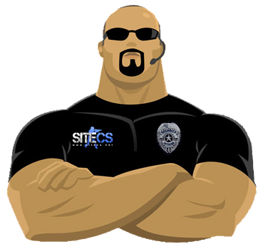 Professional & Trained Security Guard service